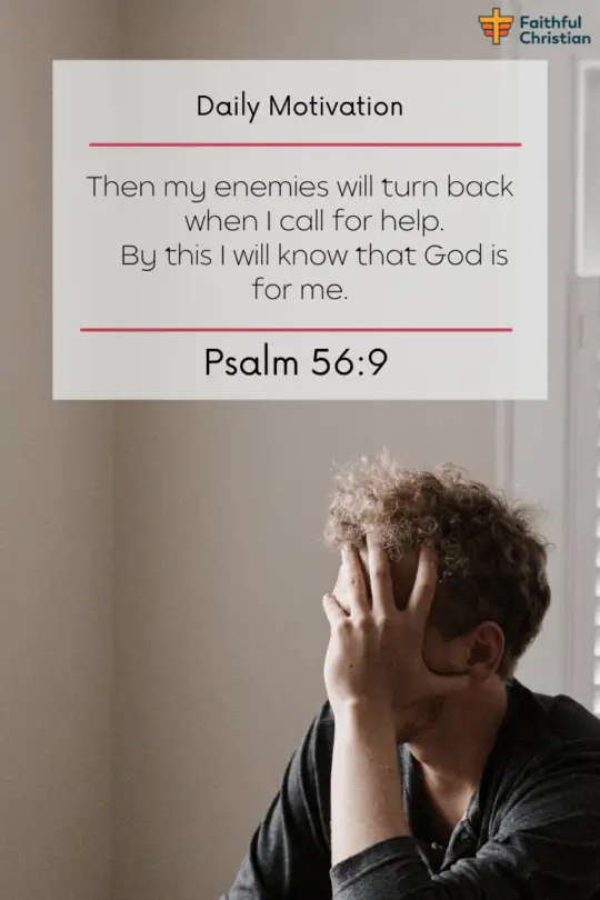 38 versículos bíblicos para aliviar el estrés y la ansiedad (Escrituras y citas)