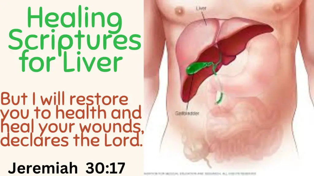 Escrituras curativas para el hígado (Versículos de la Biblia para confesar) -