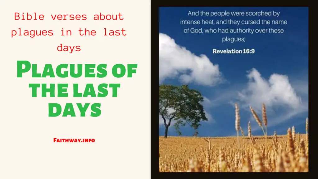 20 Versículos de la Biblia sobre las plagas de los últimos días: aprende la verdad –
