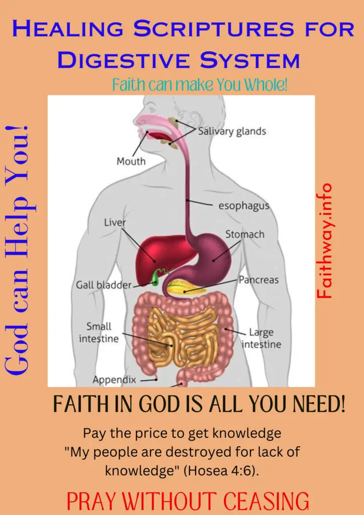 21 Escrituras curativas para el sistema digestivo: Versículos bíblicos KJV -