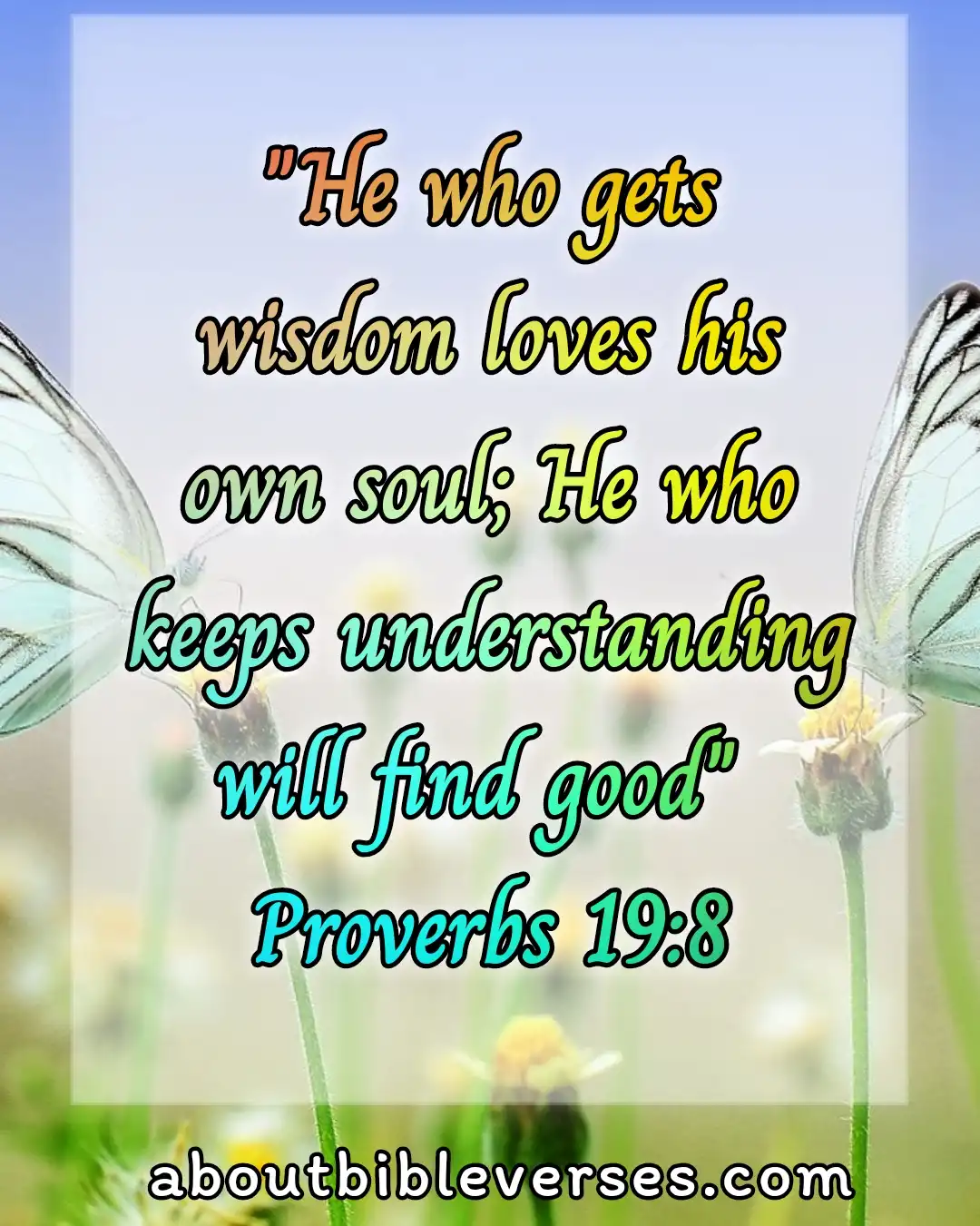 [Best] Más de 19 versículos bíblicos sobre la sabiduría y la sabiduría viene de Dios