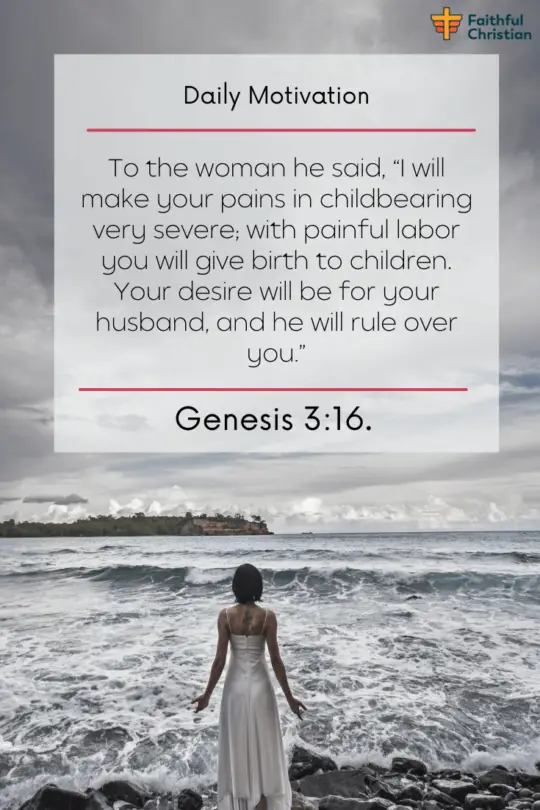 Más de 30 versículos de la Biblia sobre el hombre liderando a la mujer.