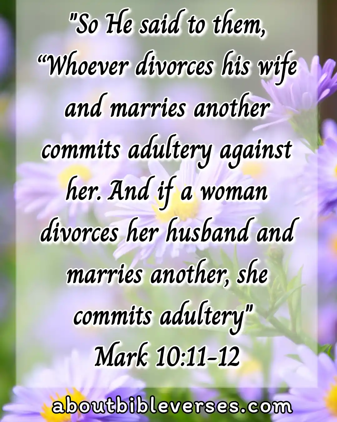 [Best] Más de 20 versículos bíblicos sobre el matrimonio y la familia.
