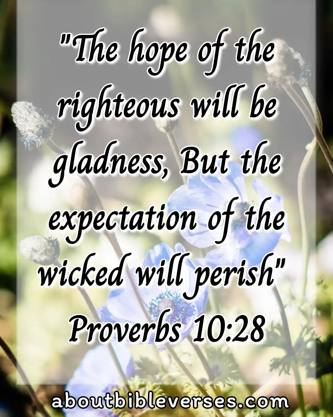 [Best] Más de 45 versículos bíblicos sobre la esperanza en tiempos difíciles