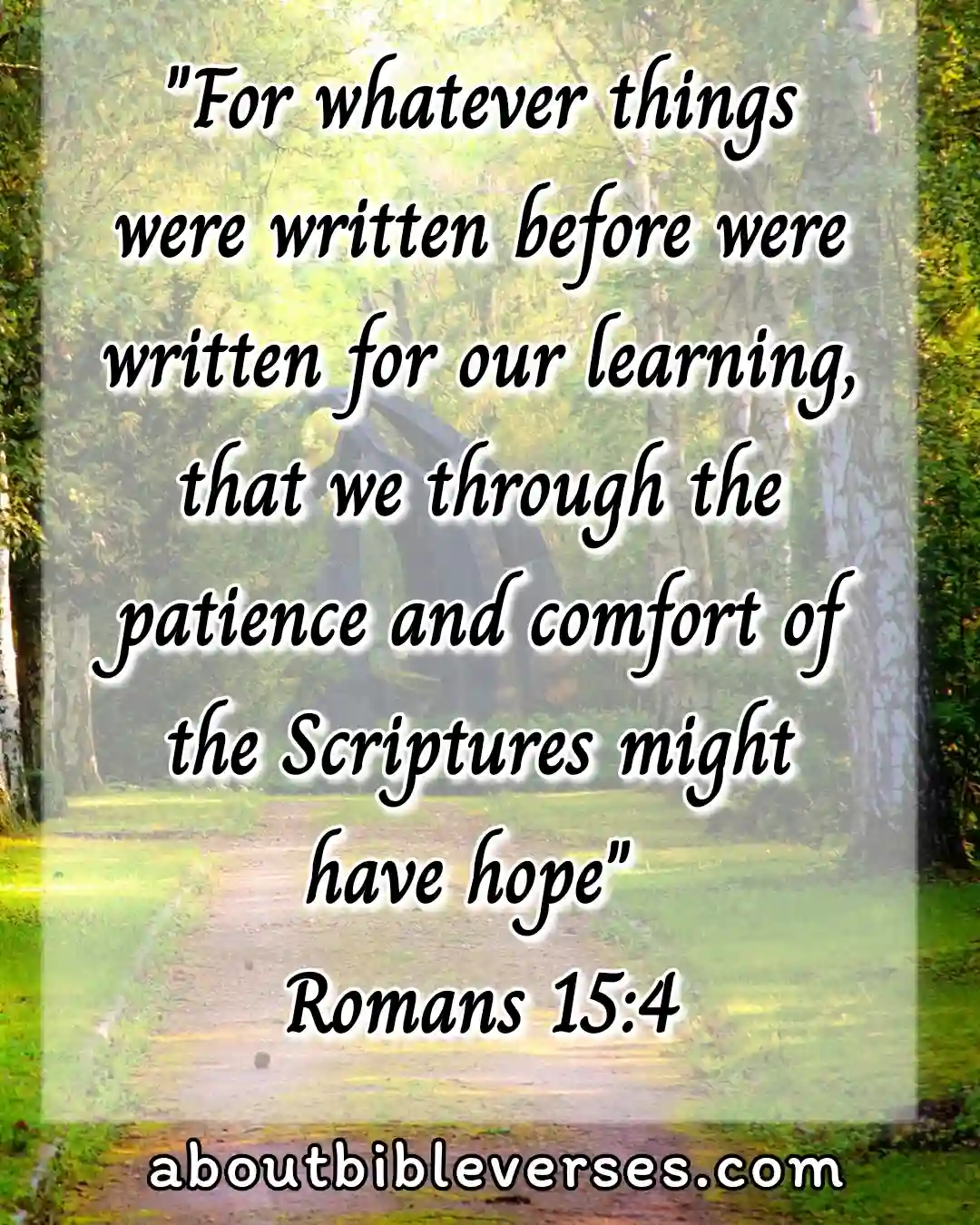 [Best] Más de 45 versículos bíblicos sobre la esperanza en tiempos difíciles