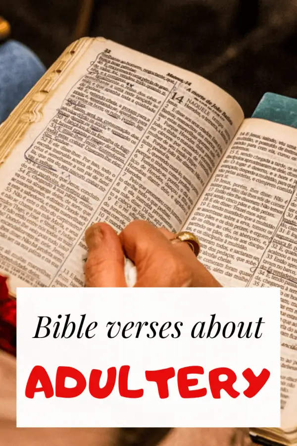 ¿Qué dice la biblia? Más de 30 versículos y ejemplos de la Biblia.