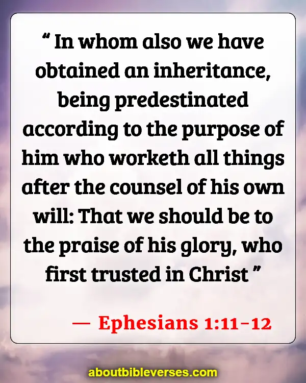 [Best] 9+ Versículos de la Biblia La predestinación y contra la predestinación