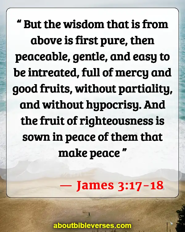 [Best] Más de 16 versículos de la Biblia sobre pacificadores