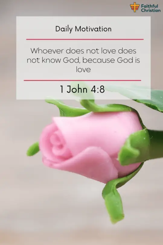 Versículos de la Biblia sobre el amor igualitario e incondicional por los demás.