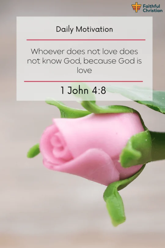 Versículos de la Biblia sobre el amor igualitario e incondicional por los demás.