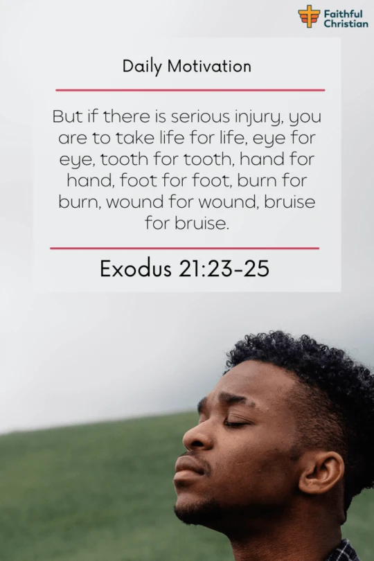 29 Versículos de la Biblia sobre Ojo por ojo, diente por diente (Escrituras)