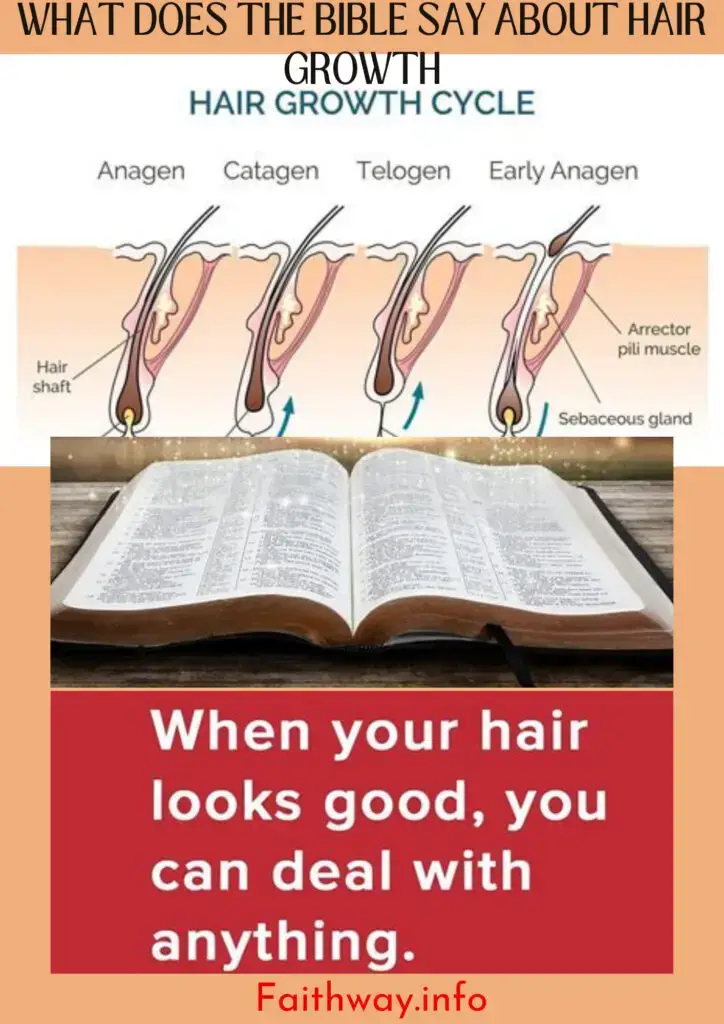 ¿Qué dice la Biblia sobre el crecimiento del cabello: con escrituras KJV -