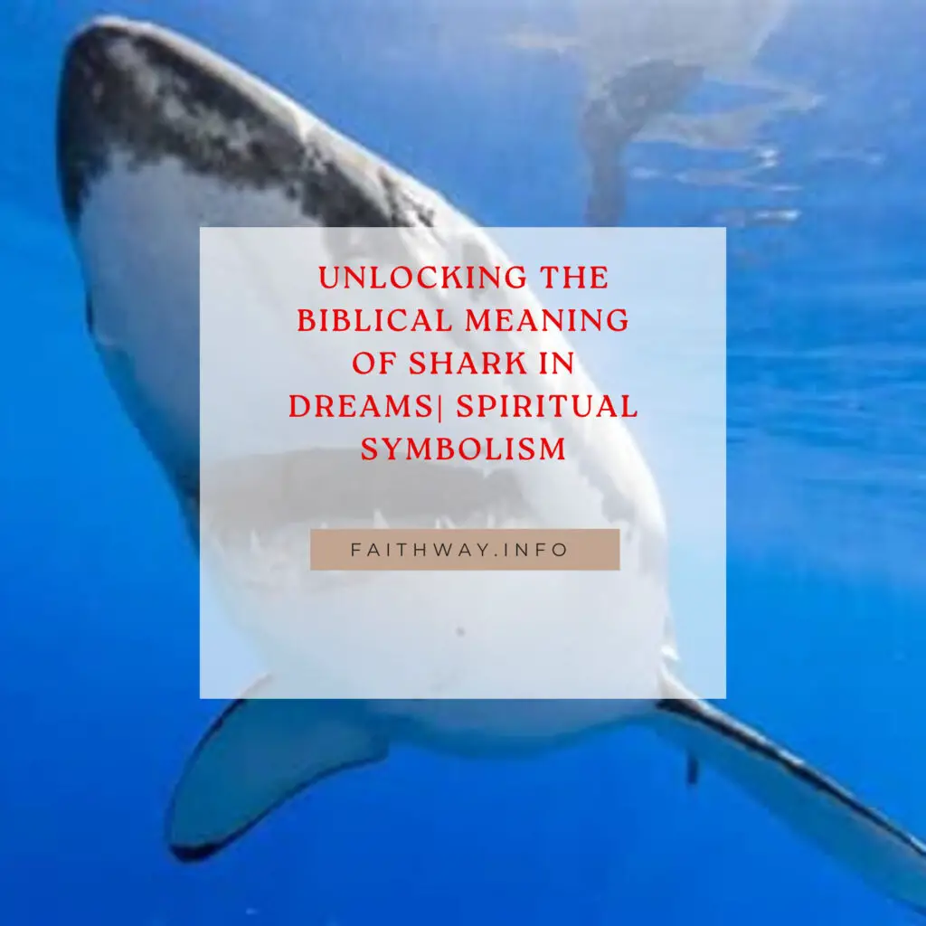 Significado bíblico del tiburón en los sueños | Descubriendo el significado espiritual –