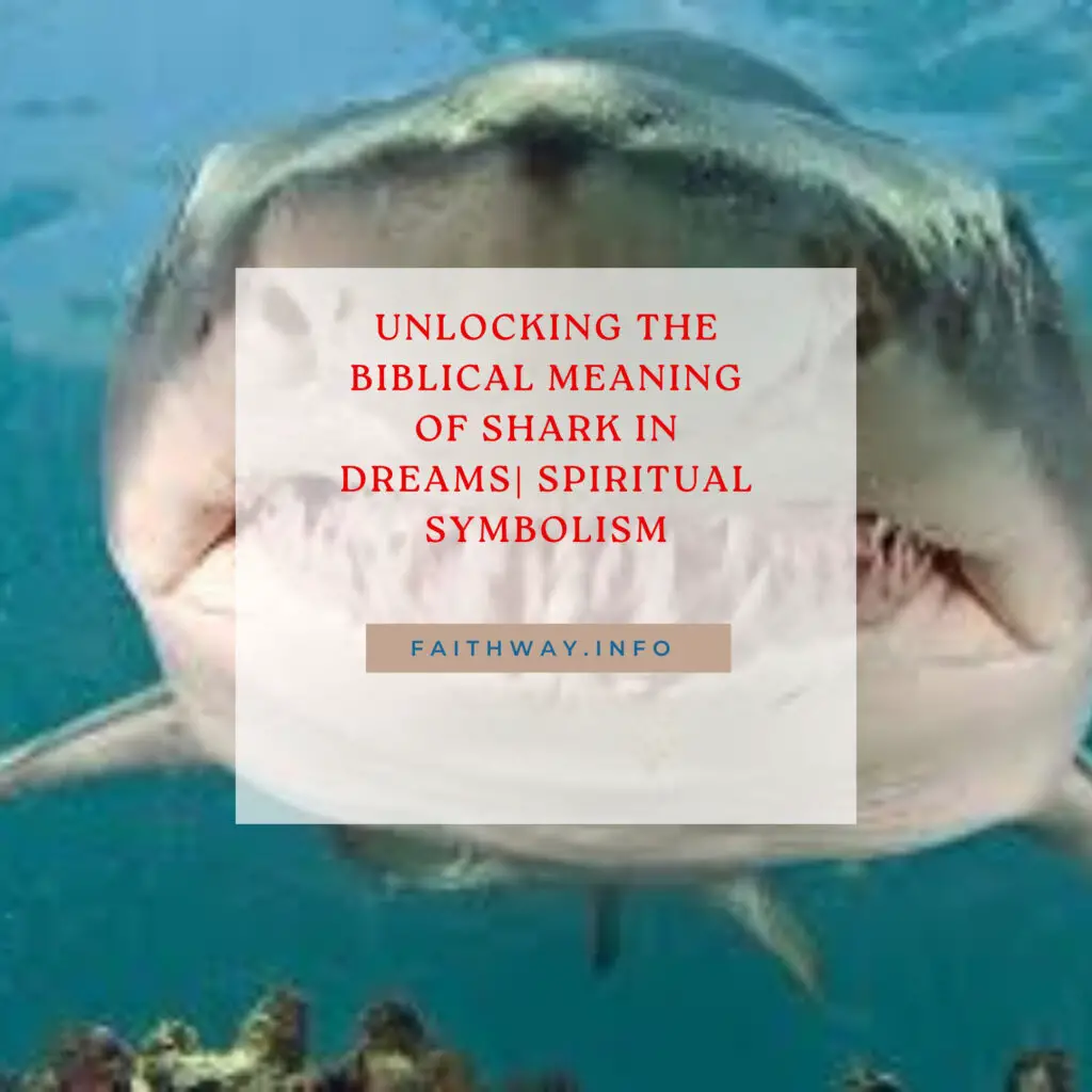 Significado bíblico del tiburón en los sueños | Descubriendo el significado espiritual –