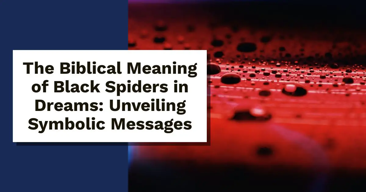 Significado bíblico de las arañas negras en los sueños: revelando los mensajes –