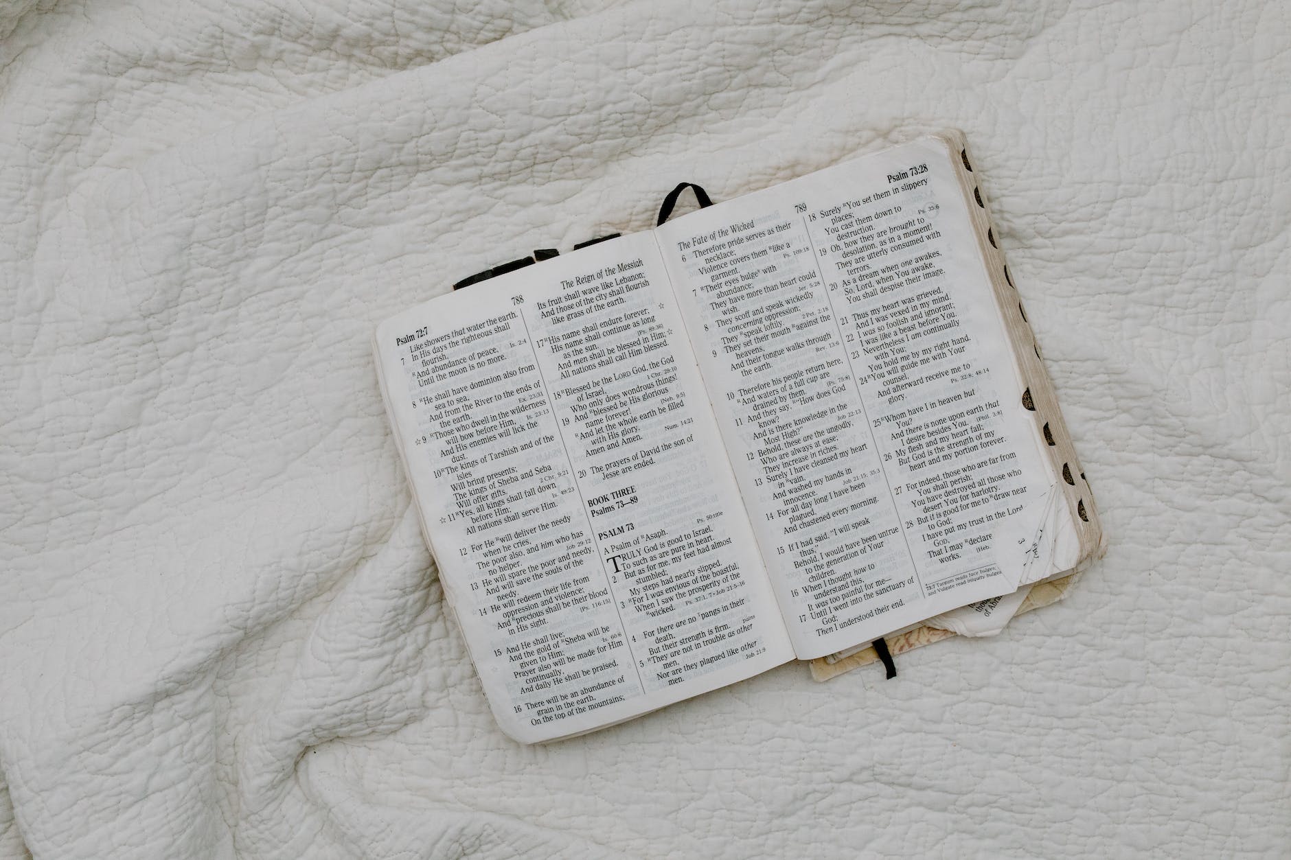 5 oraciones curativas para familias rotas: Escrituras para la restauración -