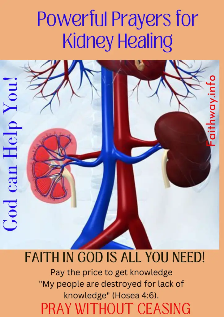 Más de 10 poderosas oraciones para la curación de los riñones: con las Escrituras KJV -