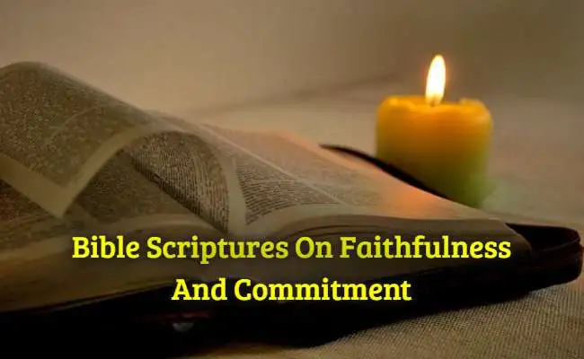 [Top] Más de 27 versículos bíblicos sobre fidelidad y compromiso