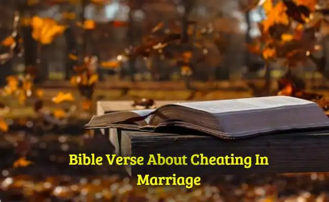 [Best] Más de 30 versículos bíblicos sobre el engaño en el matrimonio