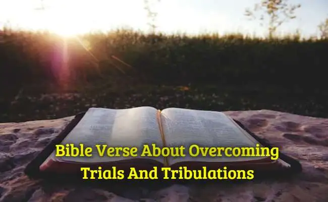 [Best] Más de 47 versículos bíblicos para superar pruebas y dificultades.