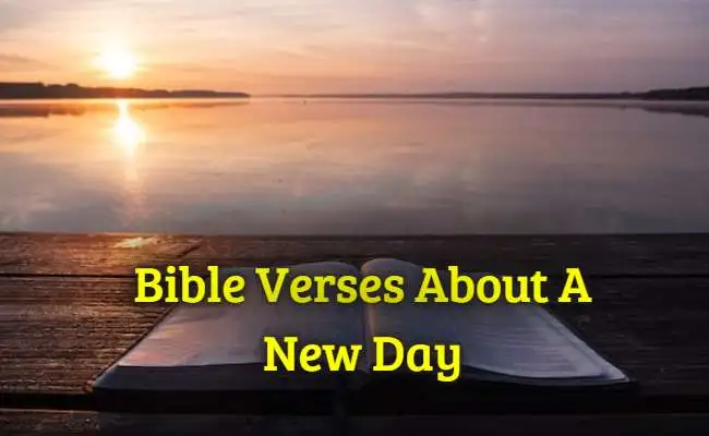 [Best] Más de 40 versículos bíblicos sobre un nuevo día.
