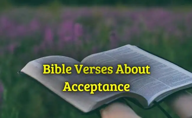 [Best] Más de 37 versículos de la Biblia sobre la aceptación