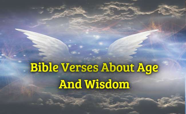 [Best] Más de 30 versículos bíblicos sobre la edad y la sabiduría.
