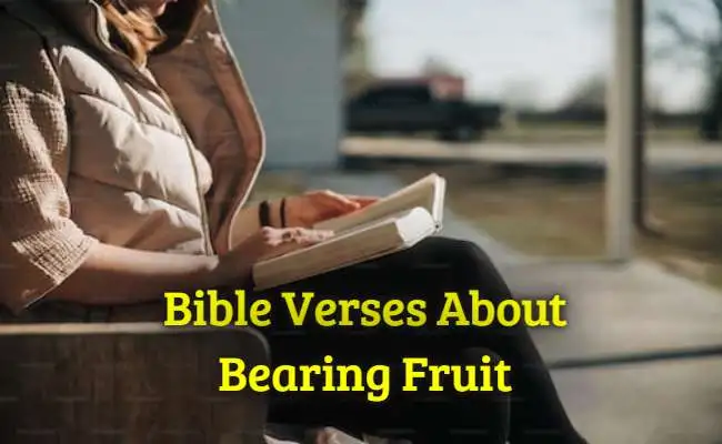 [Best] Más de 30 versículos bíblicos sobre dar fruto