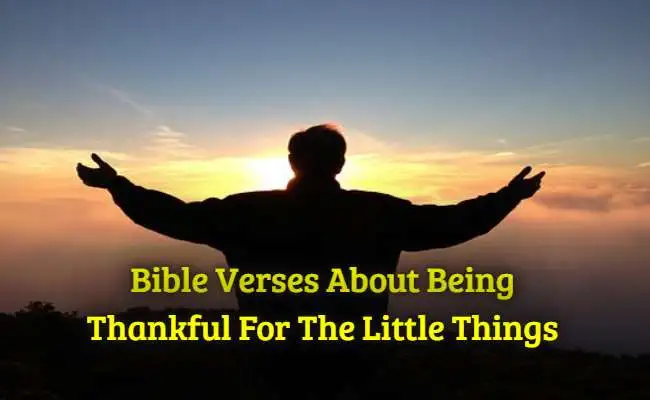[Best] Más de 12 versículos de la Biblia sobre la gratitud por las pequeñas cosas