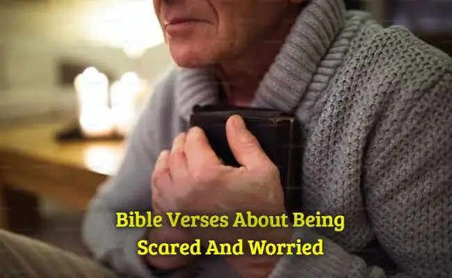 [Best] Más de 40 versículos bíblicos sobre el miedo y la preocupación.