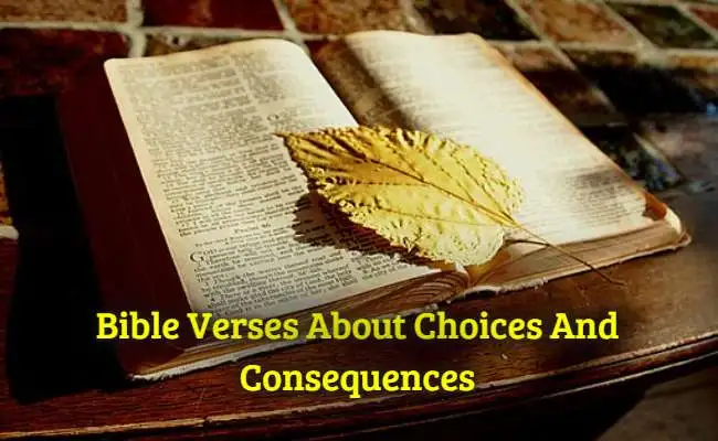 [Best] Más de 11 versículos bíblicos sobre elecciones y consecuencias