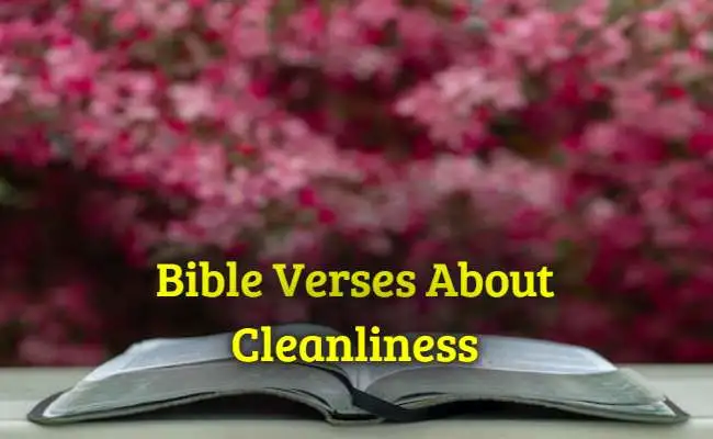 [Best] Más de 63 versículos de la Biblia sobre la limpieza