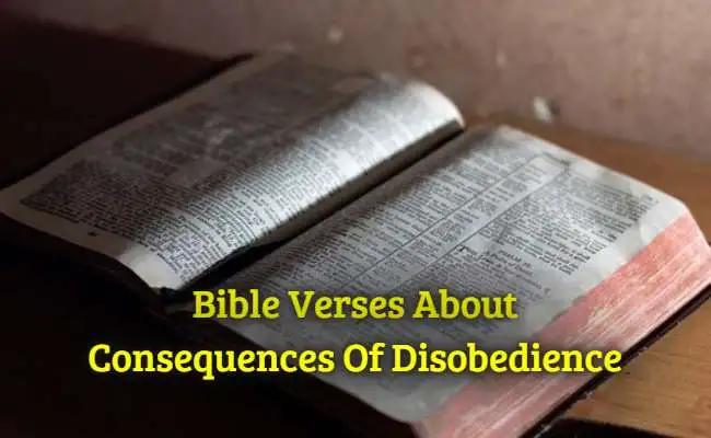 [Best] Más de 30 versículos bíblicos sobre las consecuencias de la desobediencia