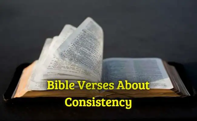 [Best] Más de 42 versículos de la Biblia sobre la coherencia