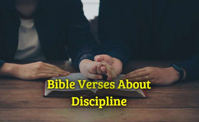 [Best] Más de 44 versículos de la Biblia sobre la disciplina