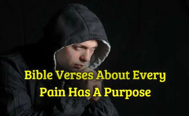 [Best] Más de 17 versículos de la Biblia sobre cada dolor tiene un propósito