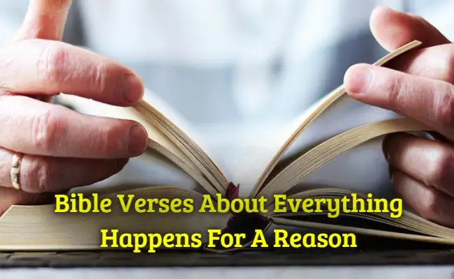 [Top] Más de 48 versículos de la Biblia Todo sucede por una razón