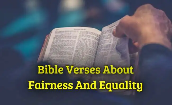 [Best] Más de 40 versículos bíblicos sobre justicia e igualdad.