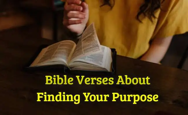 [Best] Más de 35 versículos bíblicos sobre cómo encontrar tu propósito