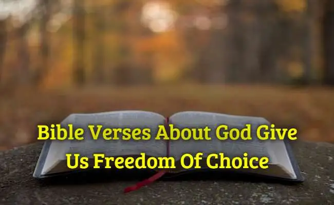 [Best] Más de 34 versículos de la Biblia sobre Dios nos dan libertad de elección