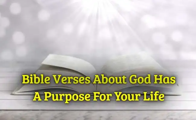 [Best] Más de 16 versículos bíblicos Dios tiene un propósito para tu vida