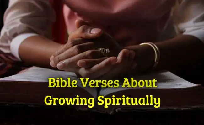 [Best] Más de 22 versículos de la Biblia sobre el crecimiento espiritual