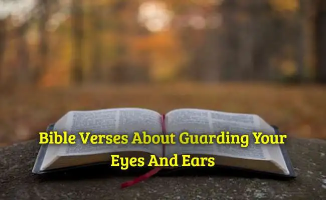 [Top] Más de 44 versículos de la Biblia sobre cómo proteger tus ojos y oídos.