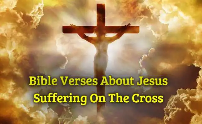 [Best] Más de 35 versículos bíblicos sobre el sufrimiento de Jesús en la cruz