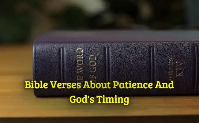 [Top] Más de 29 versículos bíblicos sobre la paciencia y el tiempo de Dios