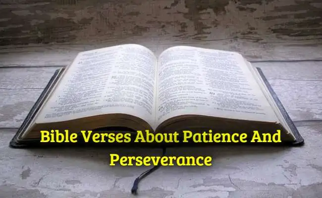 [Top] Más de 20 versículos bíblicos sobre la paciencia y la perseverancia.