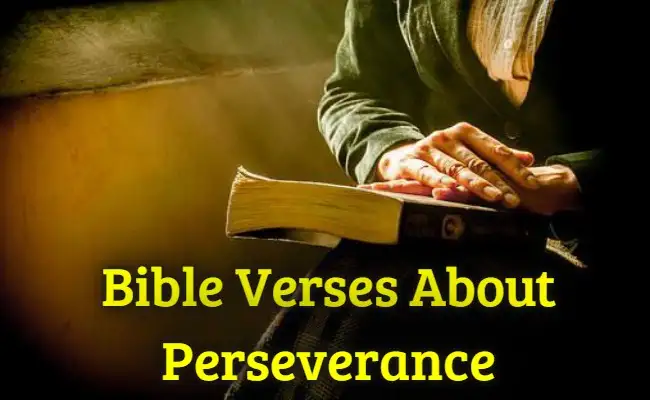 [Best] Más de 23 versículos de la Biblia sobre la perseverancia en tiempos difíciles