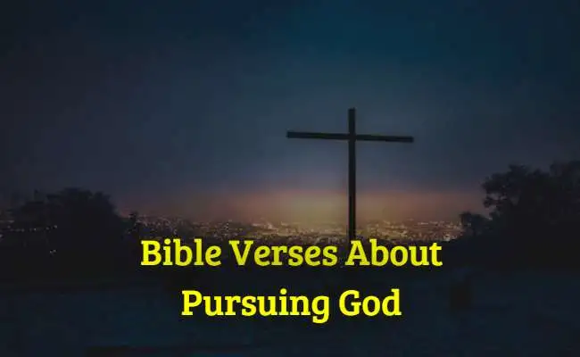 [Best] Más de 45 versículos bíblicos sobre la búsqueda de Dios.