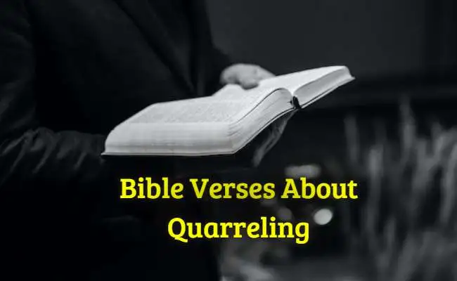 [Best] Más de 55 versículos bíblicos sobre conflictos.
