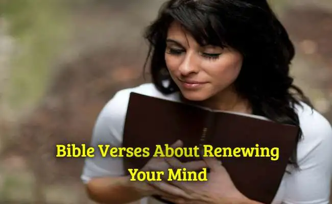 [Best] Más de 50 versículos de la Biblia sobre cómo renovar tu mente